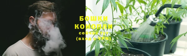 шишки Алзамай