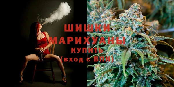 шишки Алзамай